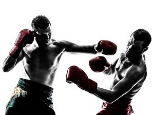 Zwei Männer beim Kickboxen-Training